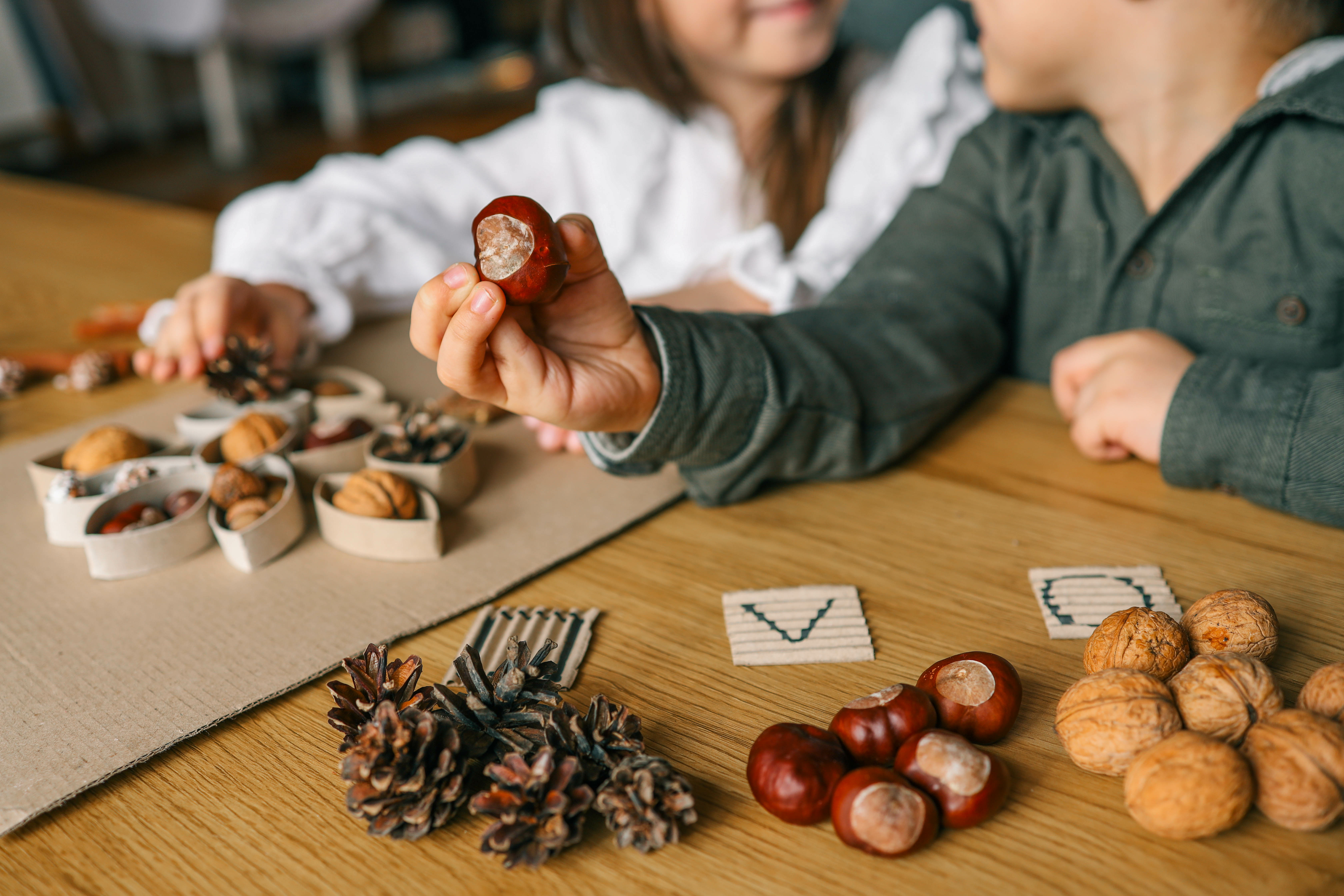 VELS for Nature Based Educators